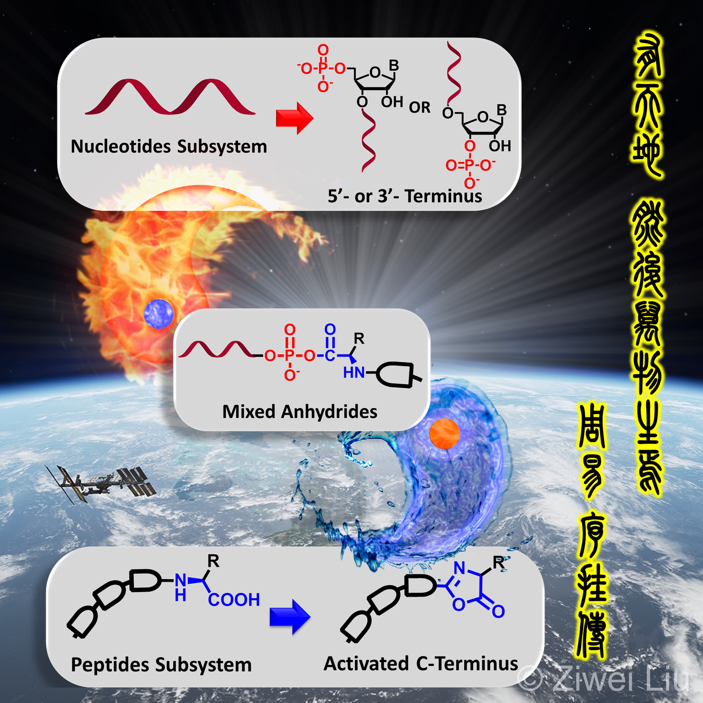 Inside cover art for Chemistry - A European Journal mixed anhydride intermediates paper